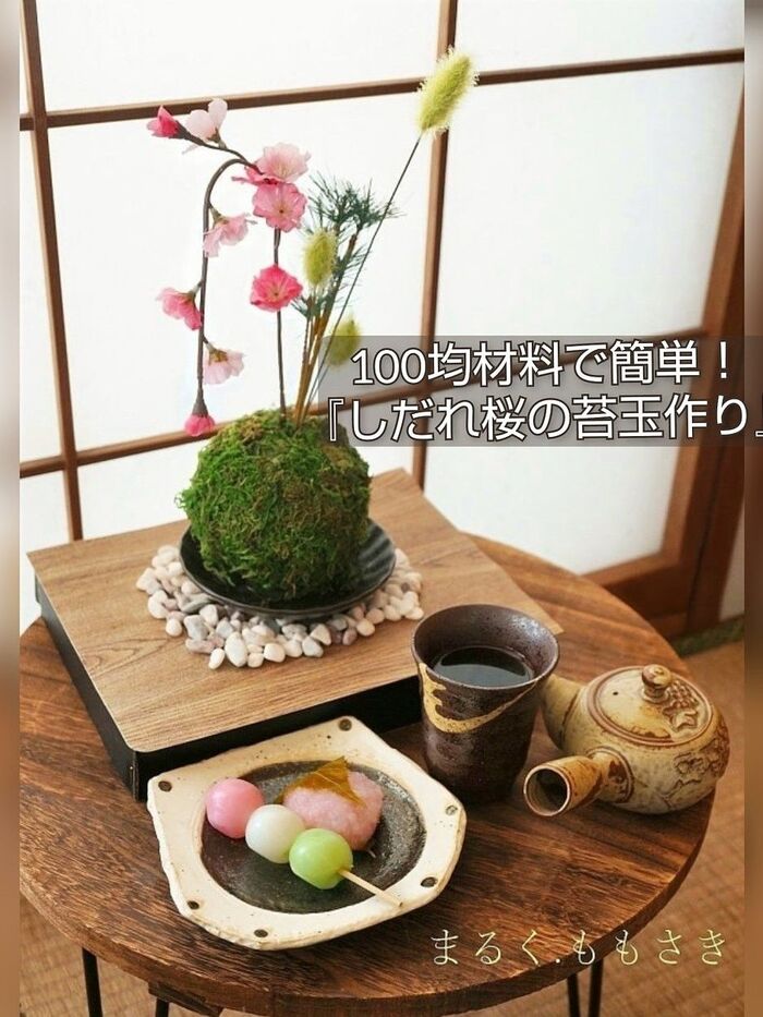 100均材料で簡単!『しだれ桜の苔玉作り』でお部屋に春が来ました♪
