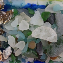 ビーチコーミング Beachcombing