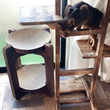 2段ベッド+つめも研げる!段ボールでエコで買って良かった