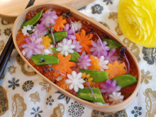 【ひな祭りに】.。.:✽ 彩りちらし寿司弁当でお祝い .。.:✽