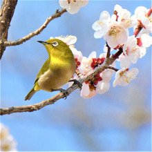 家族とピクニック!&趣味のカメラ