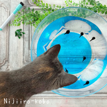 【おうち科学実験】本物そっくりオタマジャクシを作ろう♪