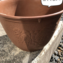 欠けちゃった植木鉢の活用法⭐︎