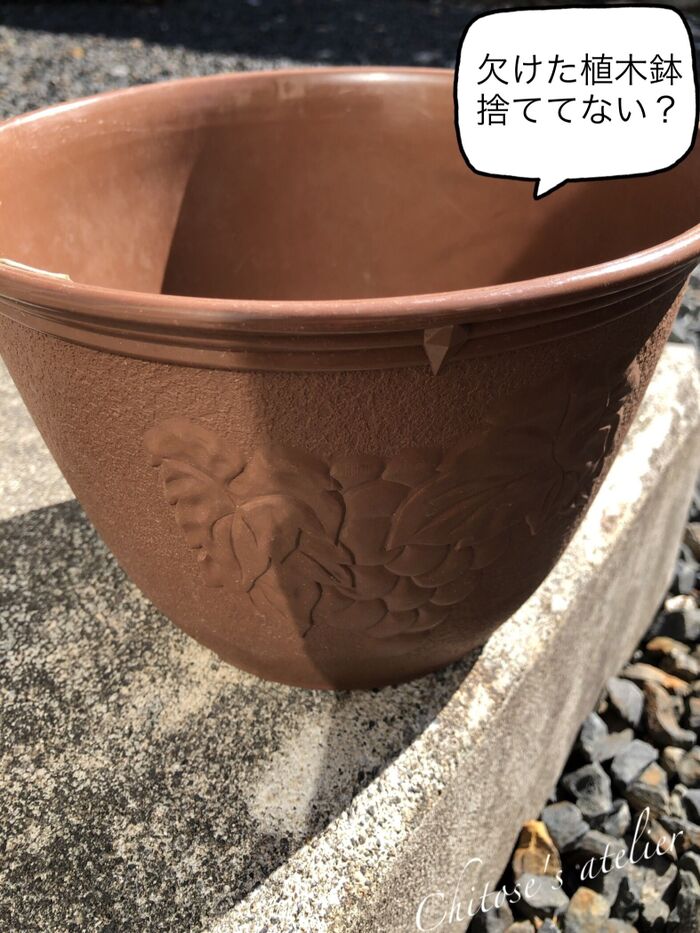 欠けちゃった植木鉢の活用法⭐︎