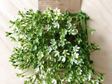 【Seria】これ、置くだけで実用的に使えます⁉︎