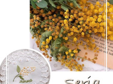 ミモザの刺繍マットいくらに見えますか?