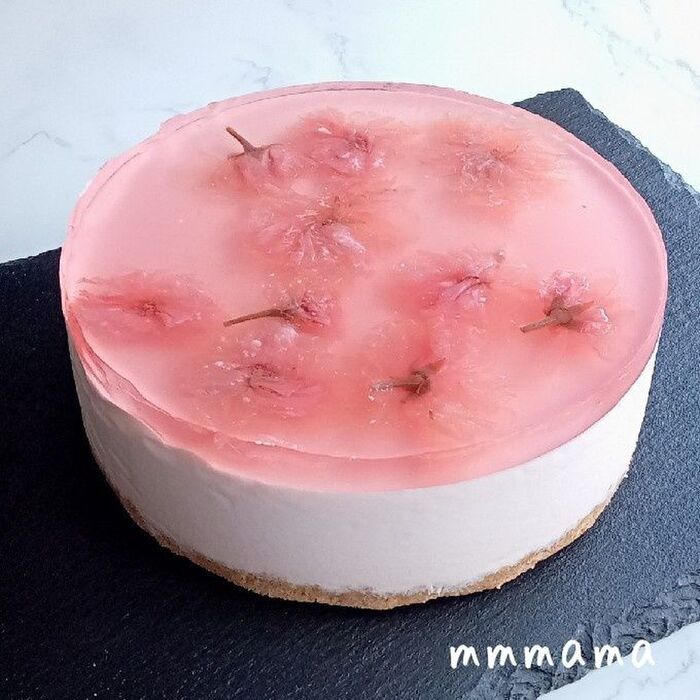 桜スイーツ♡桜色がキュートな3層の桜レアチーズケーキ