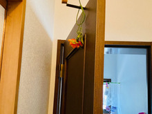 ドアの衝撃クッションに大活躍!