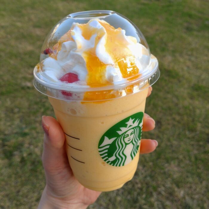 フルーツたっぷり!フルーツGYU-NEWフラペチーノ