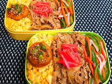 母とムスコのラブラブおソロ♪モリモリ三色牛どーん弁当