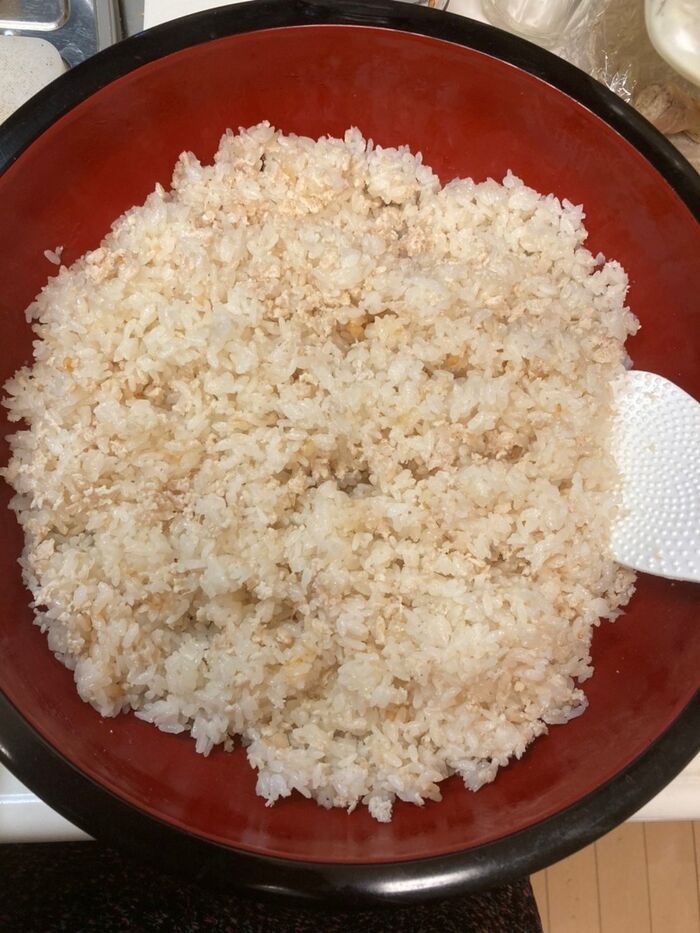 シンプルに鶏飯♪