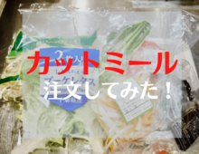 ヨシケイ「カットミール」をレポ!試してわかった良い点・悪い点とは