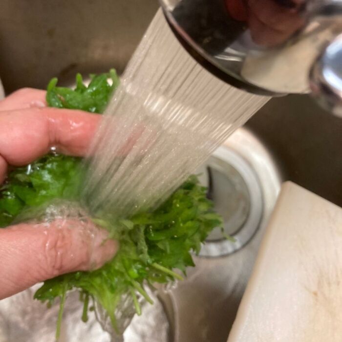 水をかけて全体を湿らせます♪