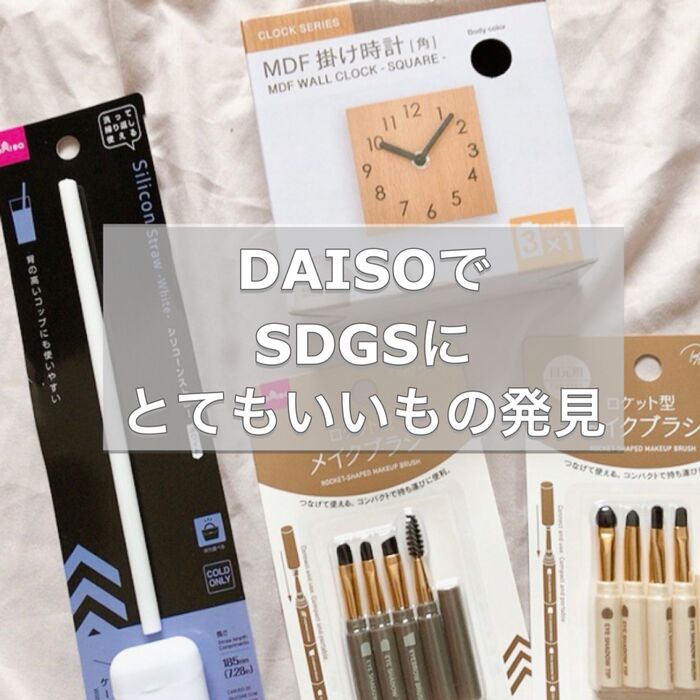SDGSにケース付きシリコンストローがダイソーで