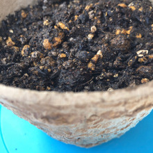 植木鉢の受け皿はこれで代用⭐︎