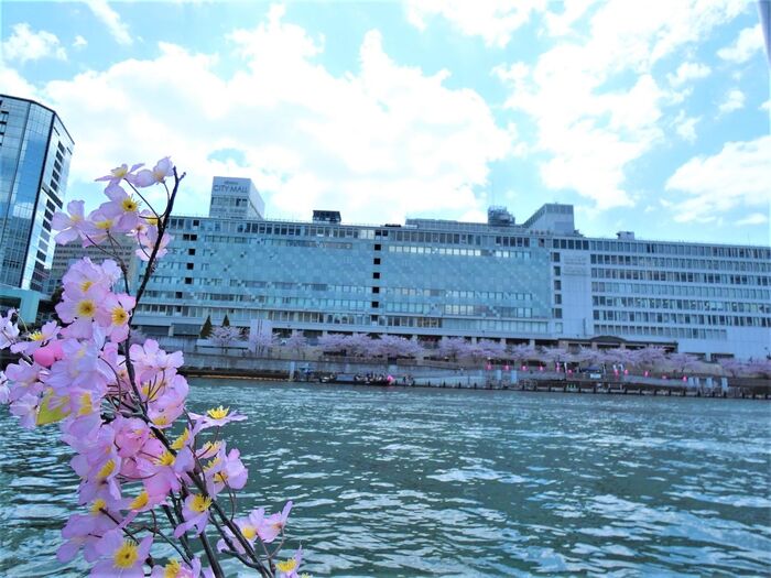 スタート地点に戻りました!