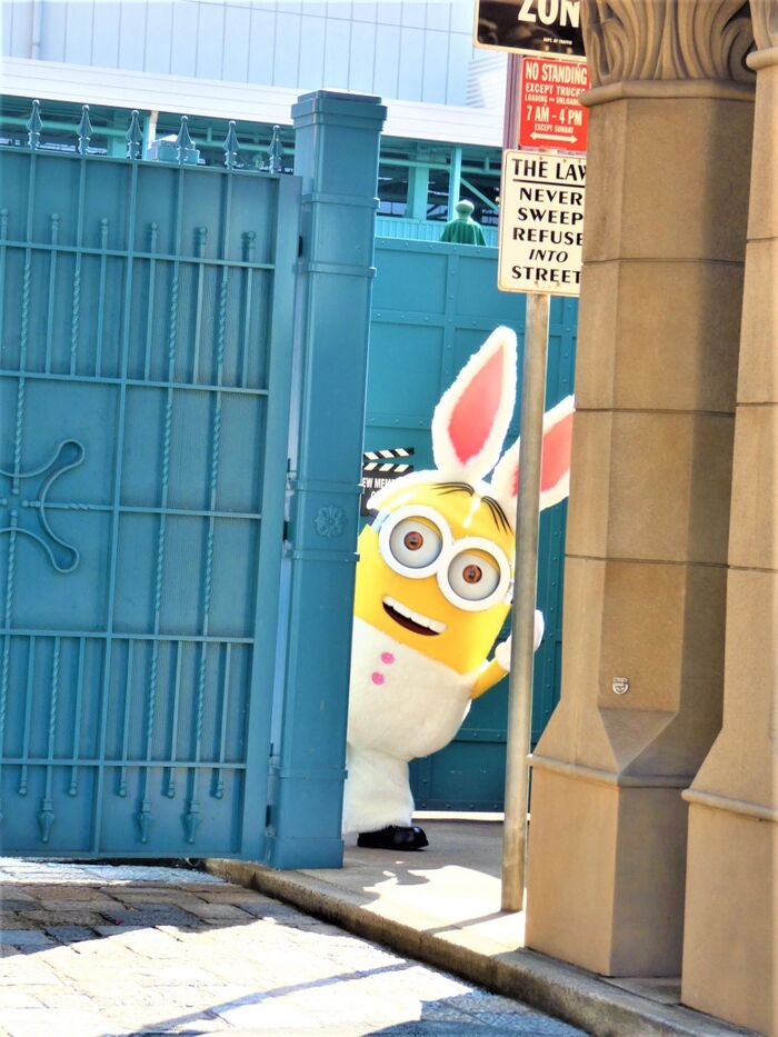 可愛い~イースターミニオンでした!