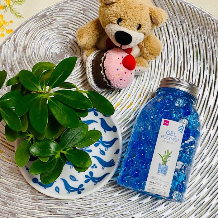 観葉植物の手入れが楽チン!緑があるとお部屋が和む〜
