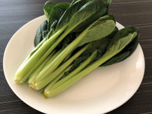 【小松菜だけで一品】切ってチンして混ぜるだけ《3選》