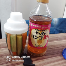 シェイカーでピクルス