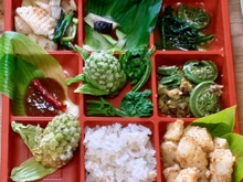 春の味覚…柿の若葉と山菜弁当!6品!美味しい美しいカラダに良い弁当~ビタミンCも豊富