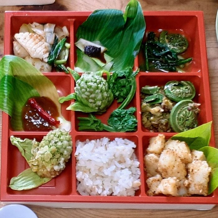 春の味覚…柿の若葉と山菜弁当!6品!美味しい美しいカラダに良い弁当~ビタミンCも豊富