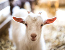 【10連休のGW】無料で遊べる!関東レジャースポット5選