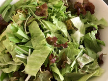 【いつものサラダ】こんな感じ?《常備野菜》を入れただけで見栄えアップ♡