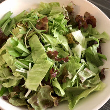 【いつものサラダ】こんな感じ?《常備野菜》を入れただけで見栄えアップ♡