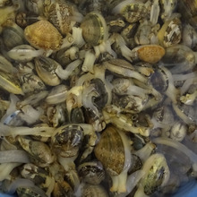 浅利のスタイリストいるの❓ 👴 👵 👶 👱 👮 👲 👳 👷 ⛑ 👸