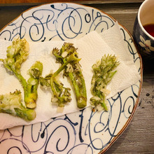 今が旬!山菜は山形県道の駅がオススメ!んめぇーよ♪