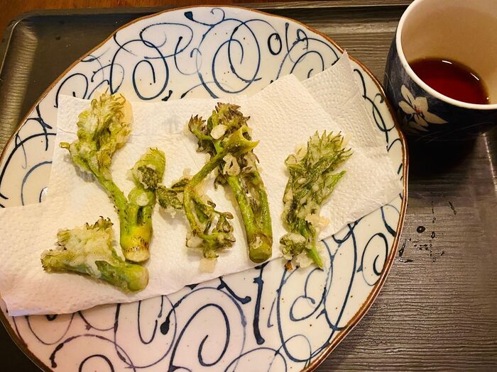 今が旬!山菜は山形県道の駅がオススメ!んめぇーよ♪