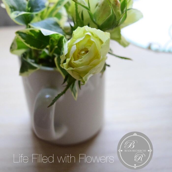 一眼レフで撮影