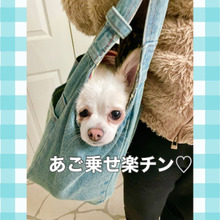 自分から入りたがるワンにゃんデニムキャリーバッグ♡