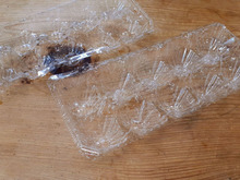 卵パック再利用!可愛い~窓辺に!