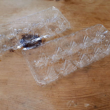 卵パック再利用!可愛い~窓辺に!