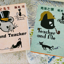 ささやかなミステリー小説です。