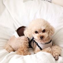 ワンコのお散歩に必ず持っていくものと、飼い主として思うこと