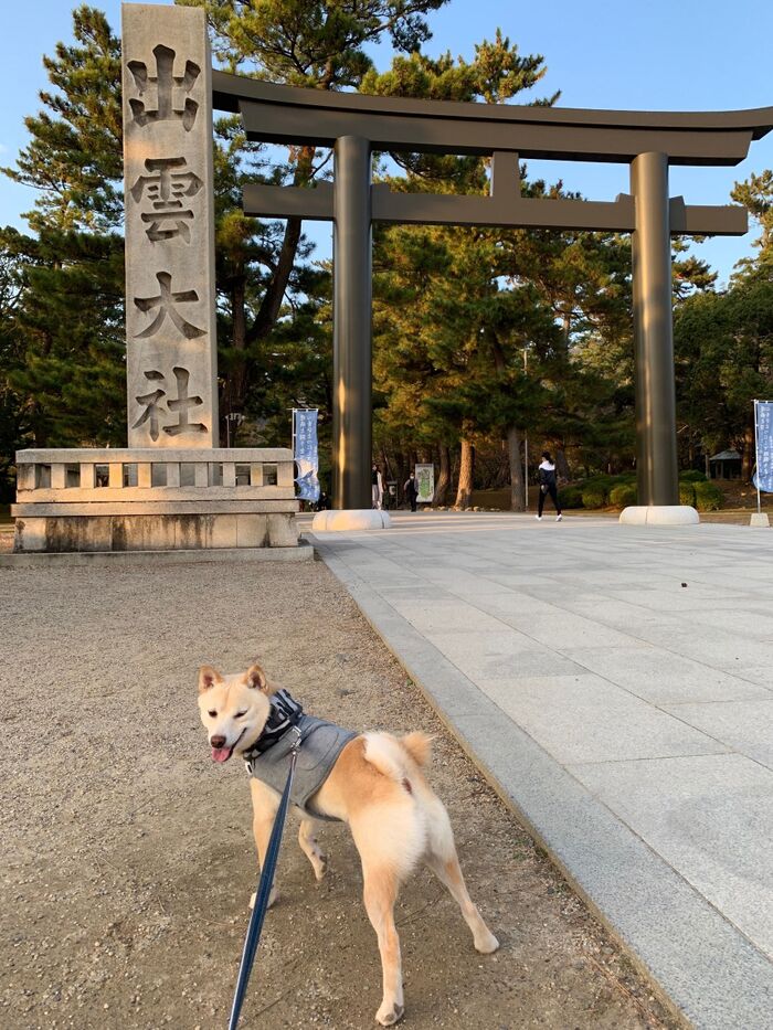 観光スポット 3選