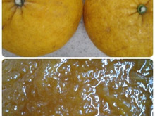 夏みかんジャム