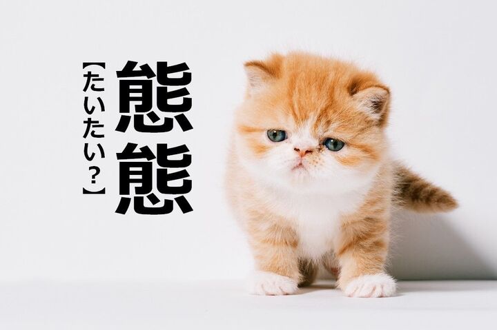 【態態】を「たいたい」と読むと笑われます!【読めないと恥ずかしい漢字クイズ】