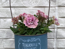 おしゃれなハンギングブリキ缶