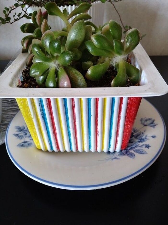 豆腐のプラケースを多肉植物の鉢にリメイク
