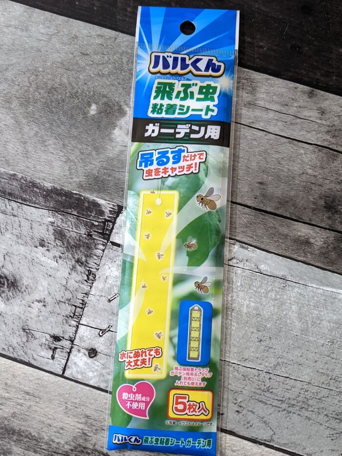 ダイソーにあった!コバエ取り粘着シート