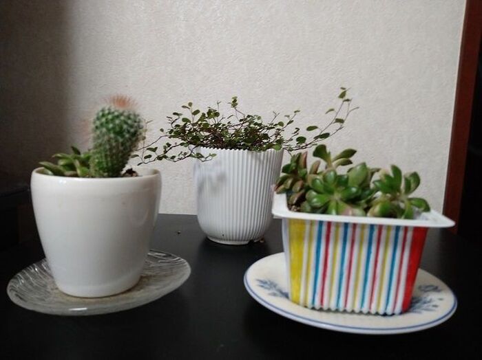 グリーンコーナー