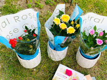 丹精込めたミニ薔薇!このお値段で本当にいいの?儲かりますかぁ〜最高に良いお買い物♪