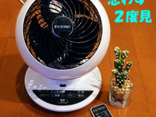 こっちで買うと12039円⇒6770円【ジェット気流効果で直近性の高い風】