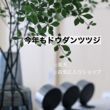 今年もドウダンツツジ♡お気に入りのネットショップをご紹介