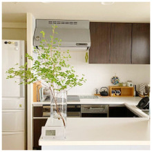 梅雨時期、これ一本で部屋が爽やかに♬