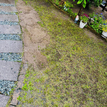 梅雨の安全対策!雨のぬかるみに気をつけて!足元!ボウフラetc~